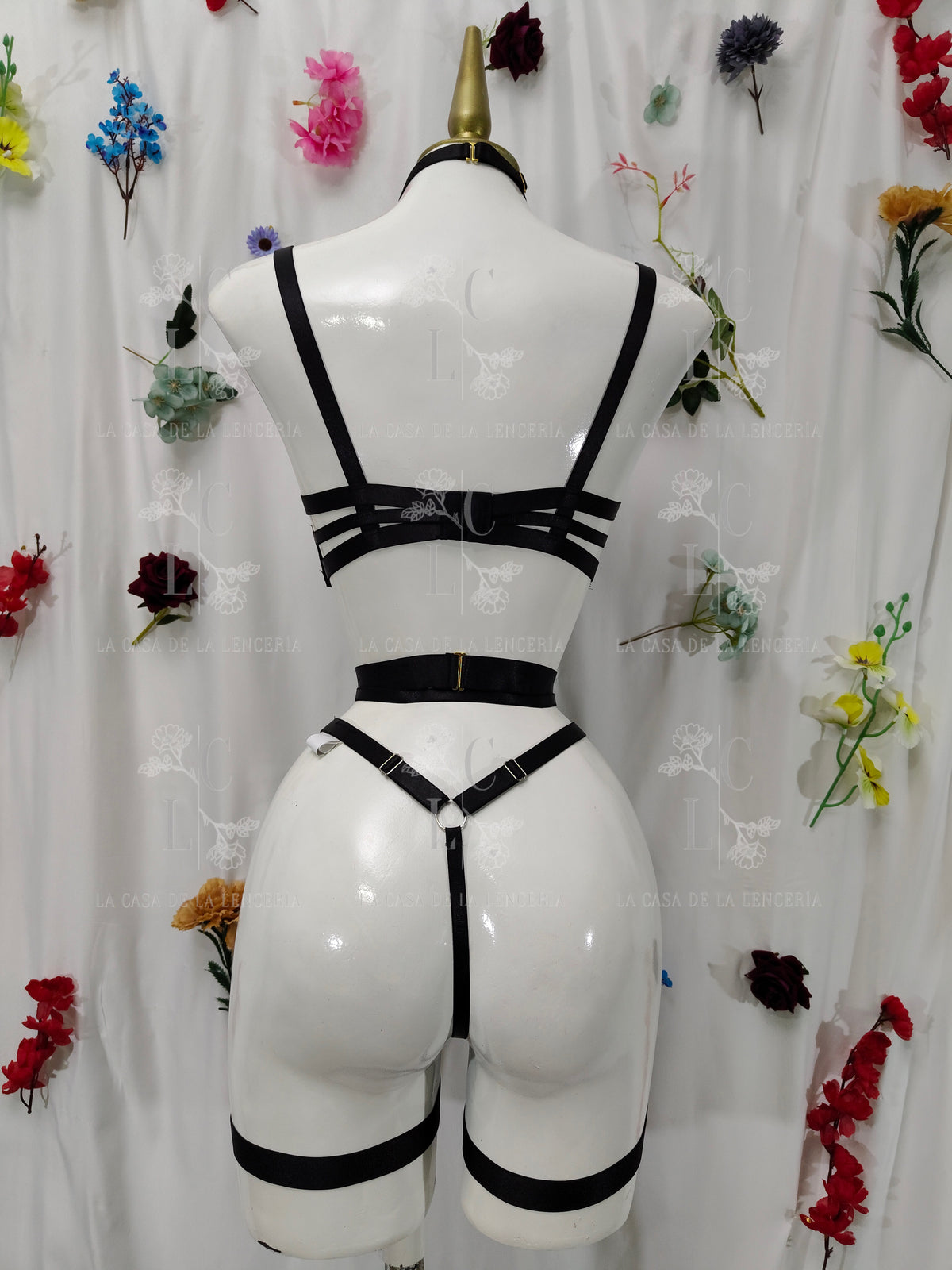 Set Ambellina
